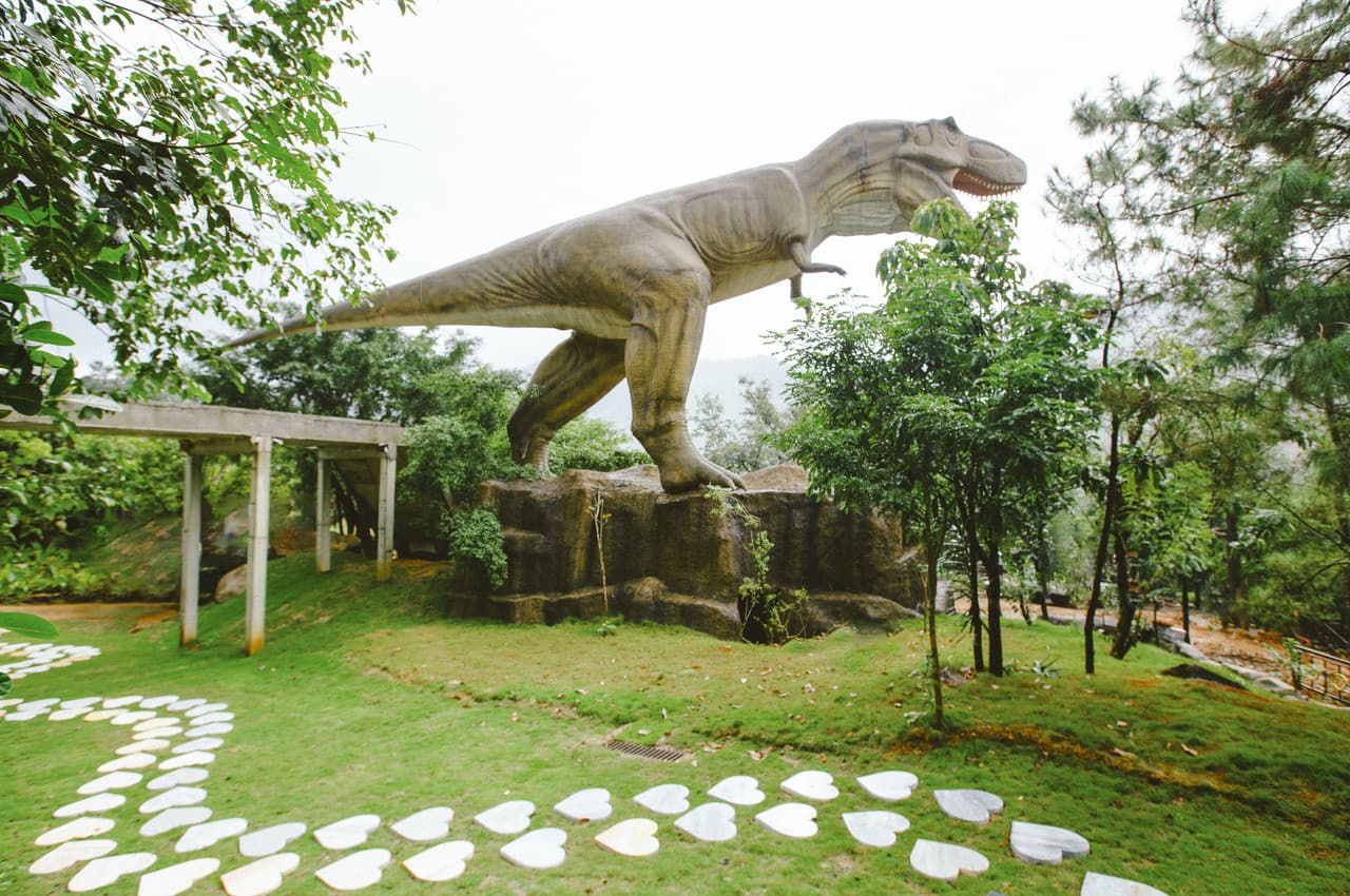 Nui Than Tai Hot Springs Park - تصویر 18