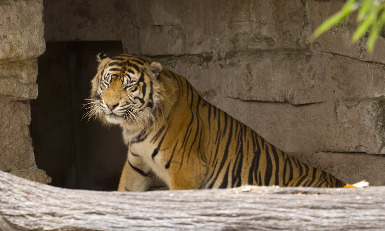 Barcelona Zoo - تصویر 4