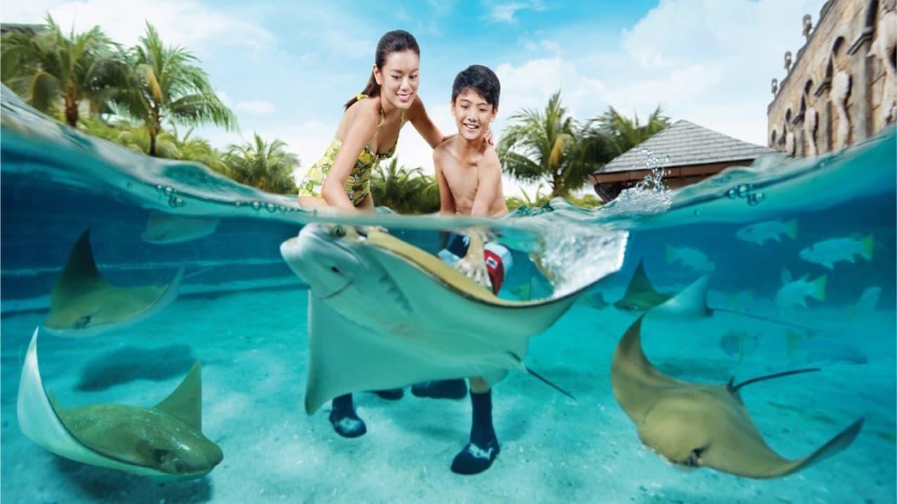 Ultimate Marine Life Experience at Adventure Cove Waterpark - تصویر اصلی