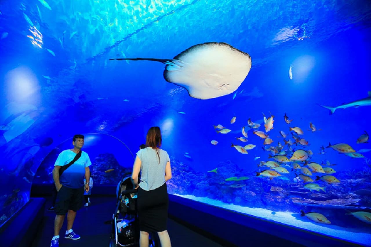 Cairns City Tours - تصویر 10