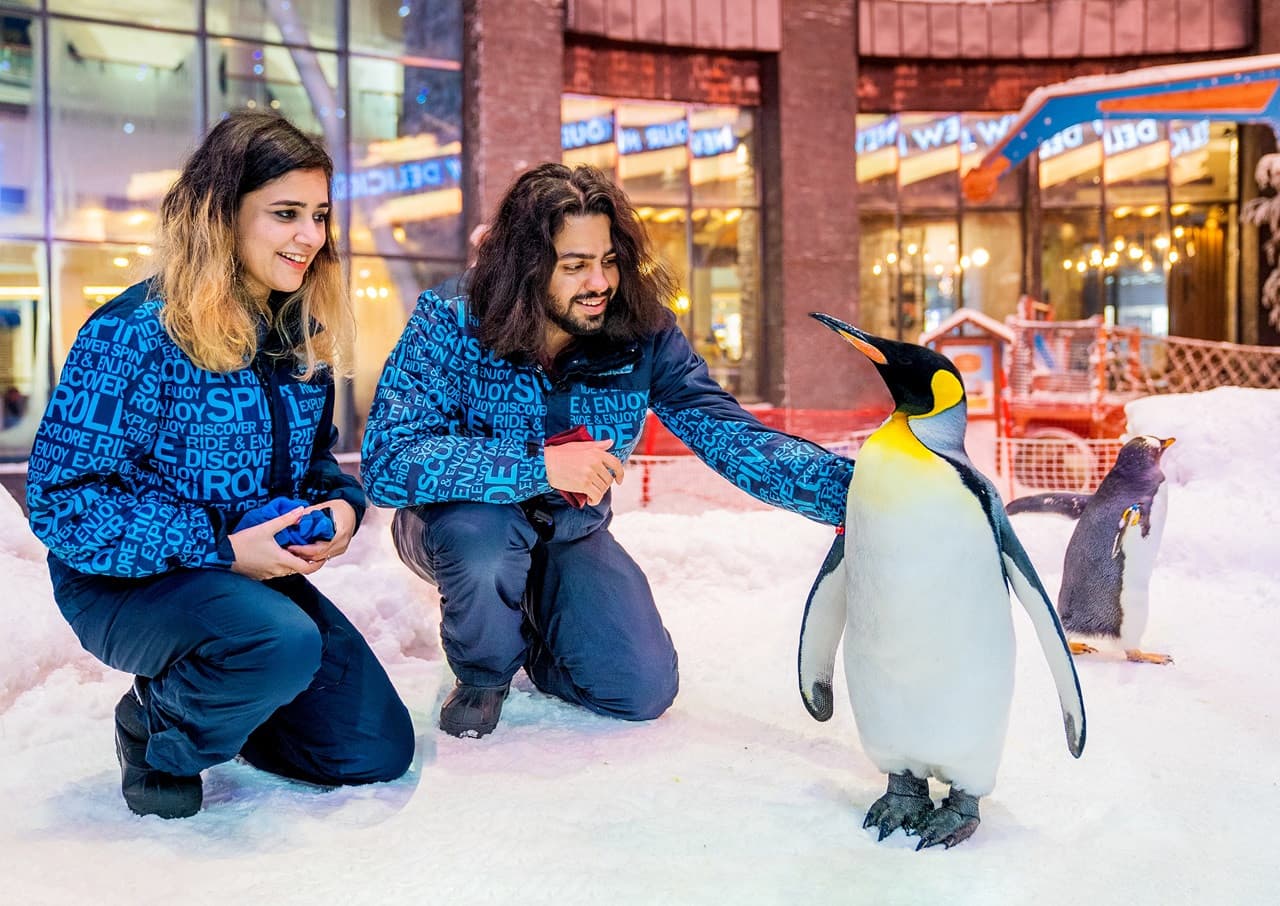 Ski Dubai Ticket - تصویر 24