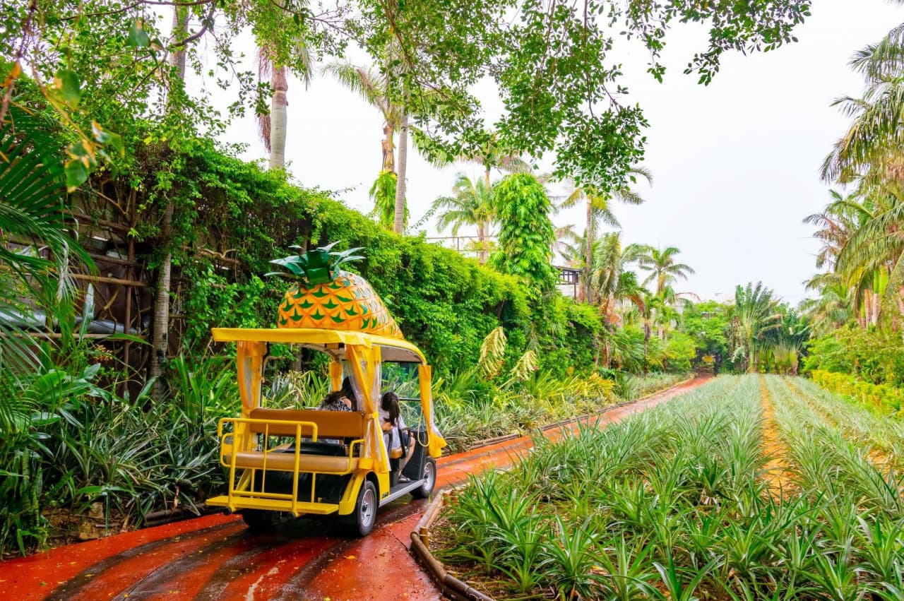 Okinawa Nago Pineapple Park - تصویر اصلی