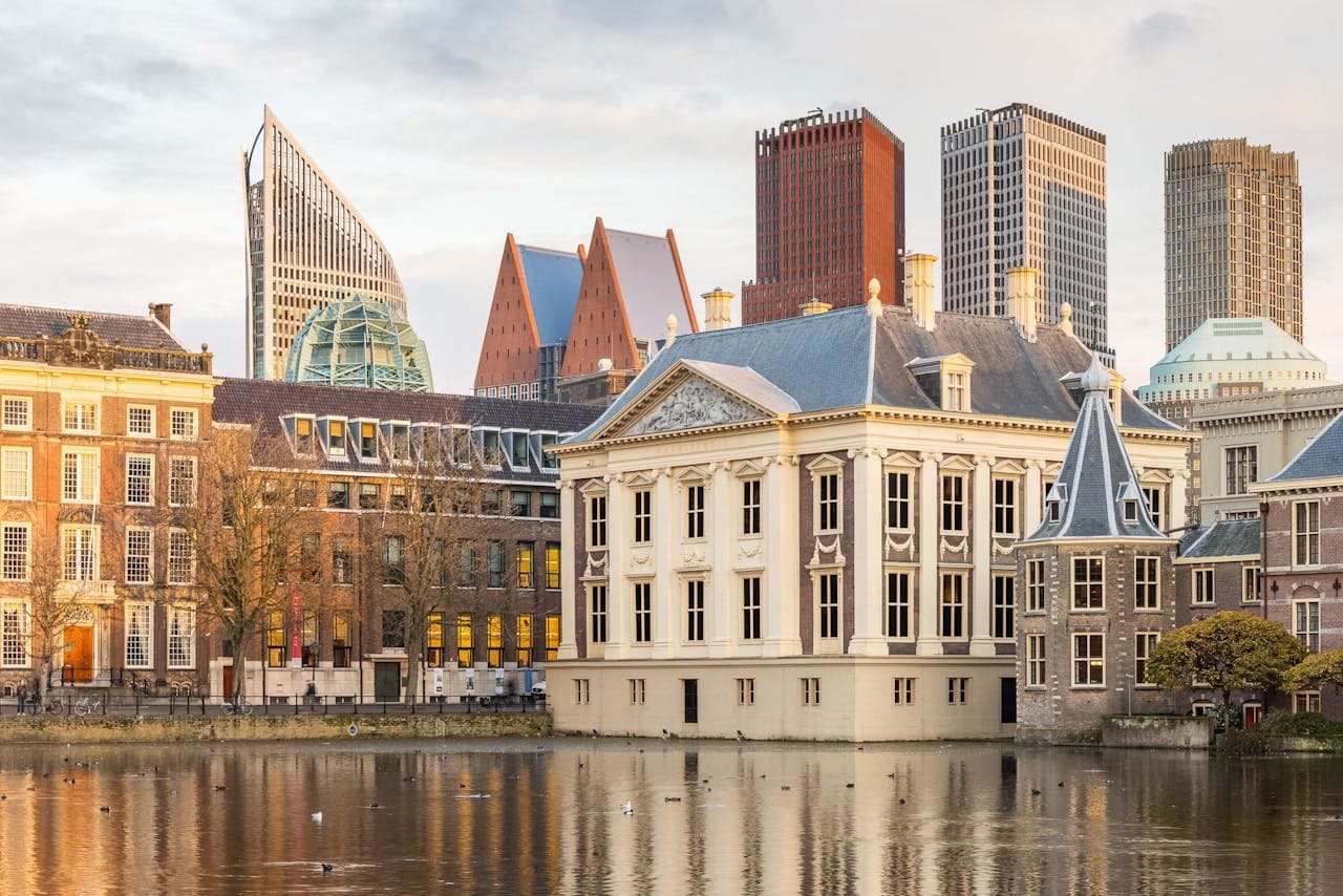 The Mauritshuis Museum Ticket - تصویر اصلی