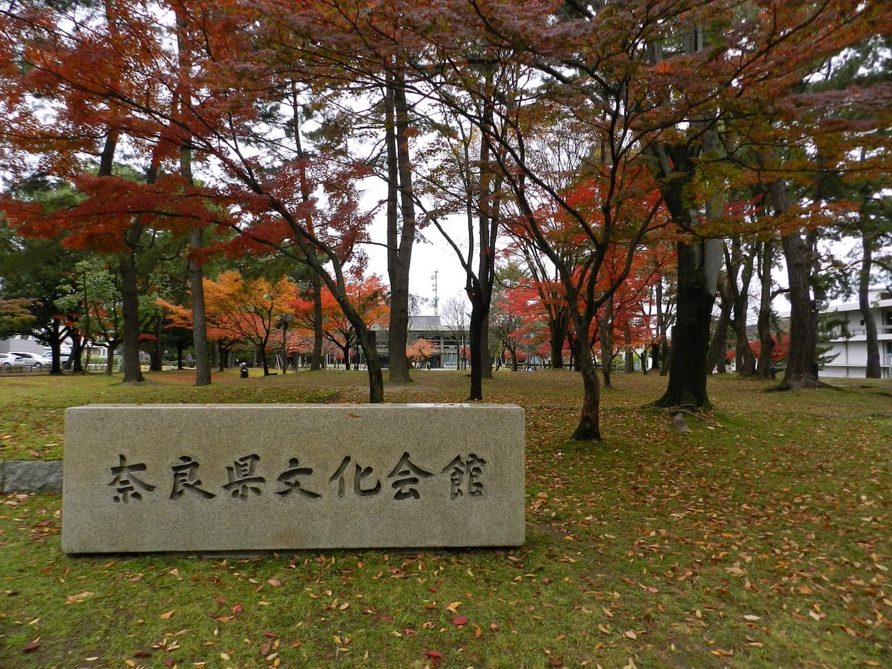 Nara Tour from Kyoto - تصویر 3