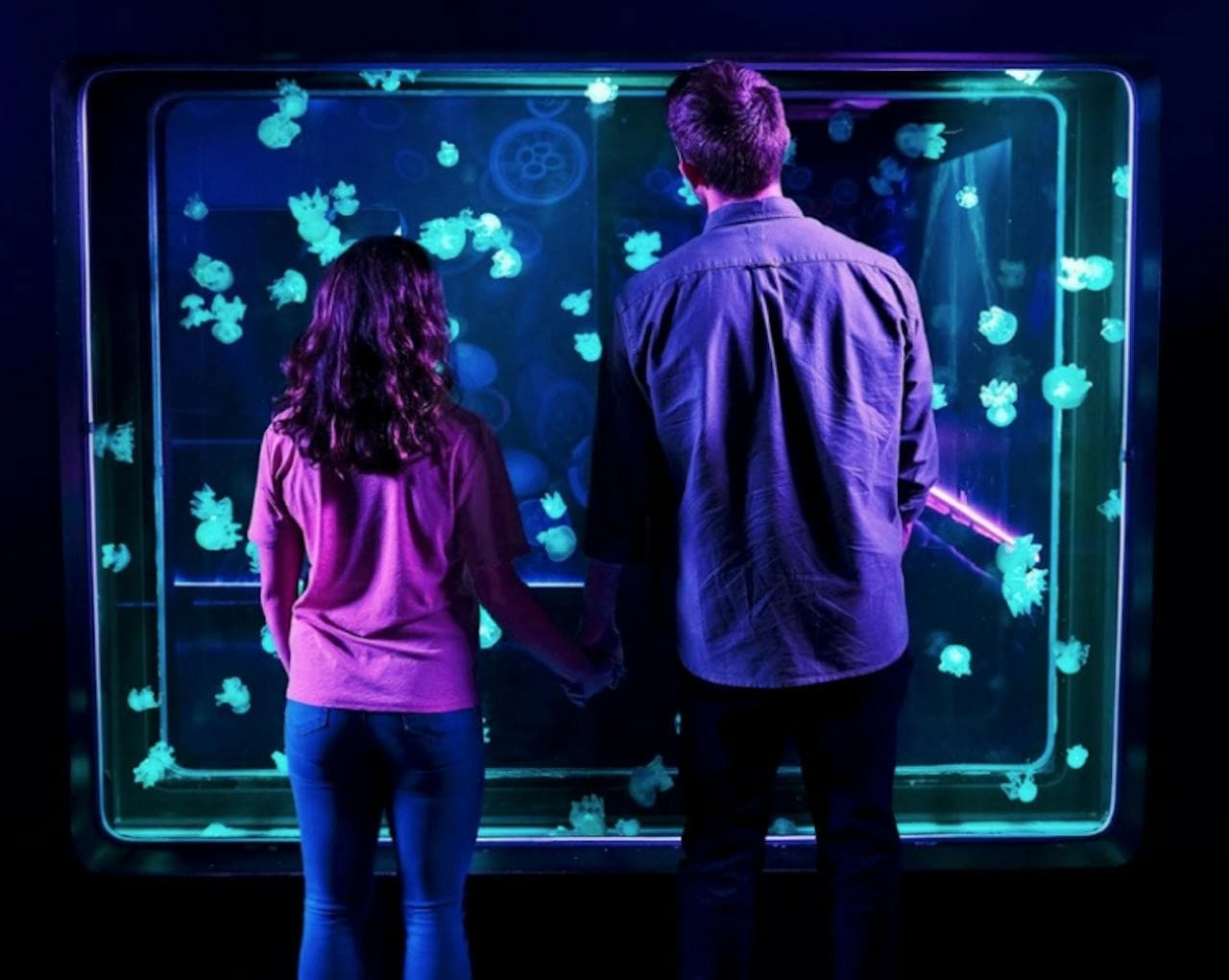 SEA LIFE New Jersey Aquarium Ticket - تصویر 3