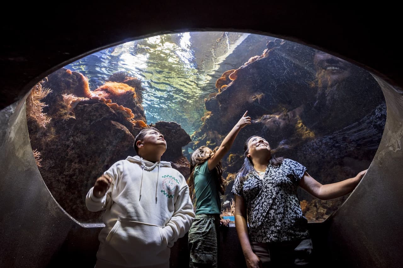 California Academy of Sciences Ticket - تصویر 6