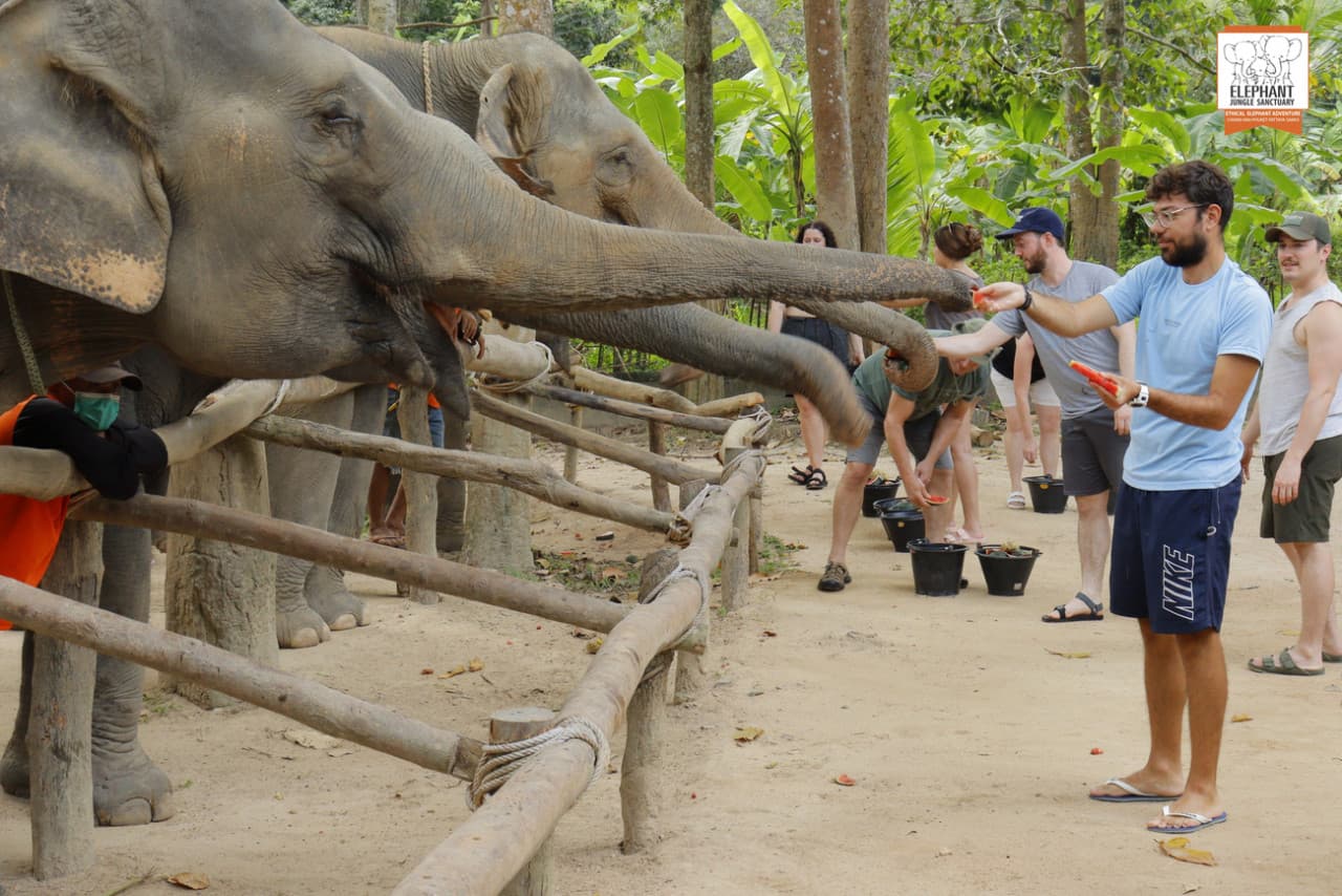 Elephant Jungle Sanctuary Koh Samui - تصویر 7