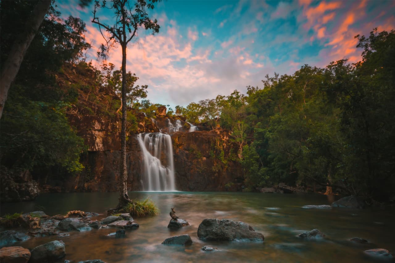 Cedar Creek Falls Tour - تصویر اصلی