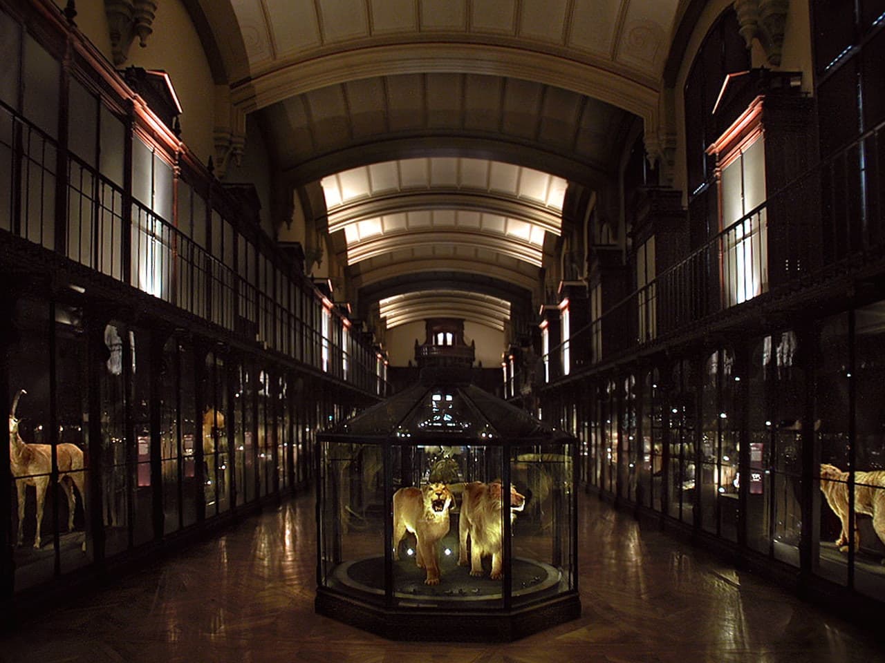 Grande Galerie de l'Évolution: Skip The Line - تصویر 3