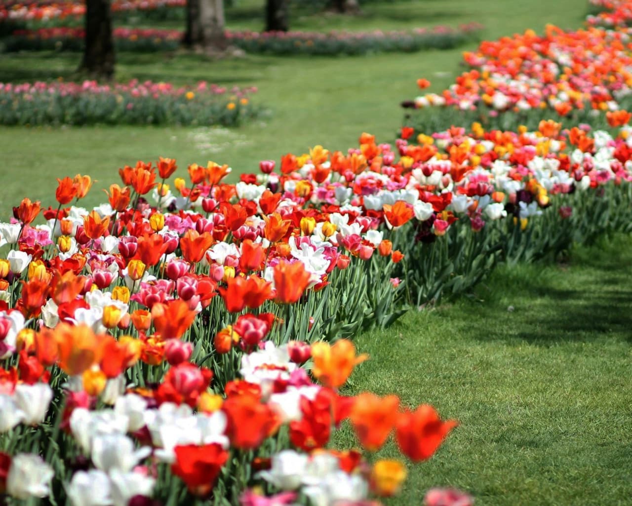 Parco Giardino Sigurtà Ticket - تصویر 8