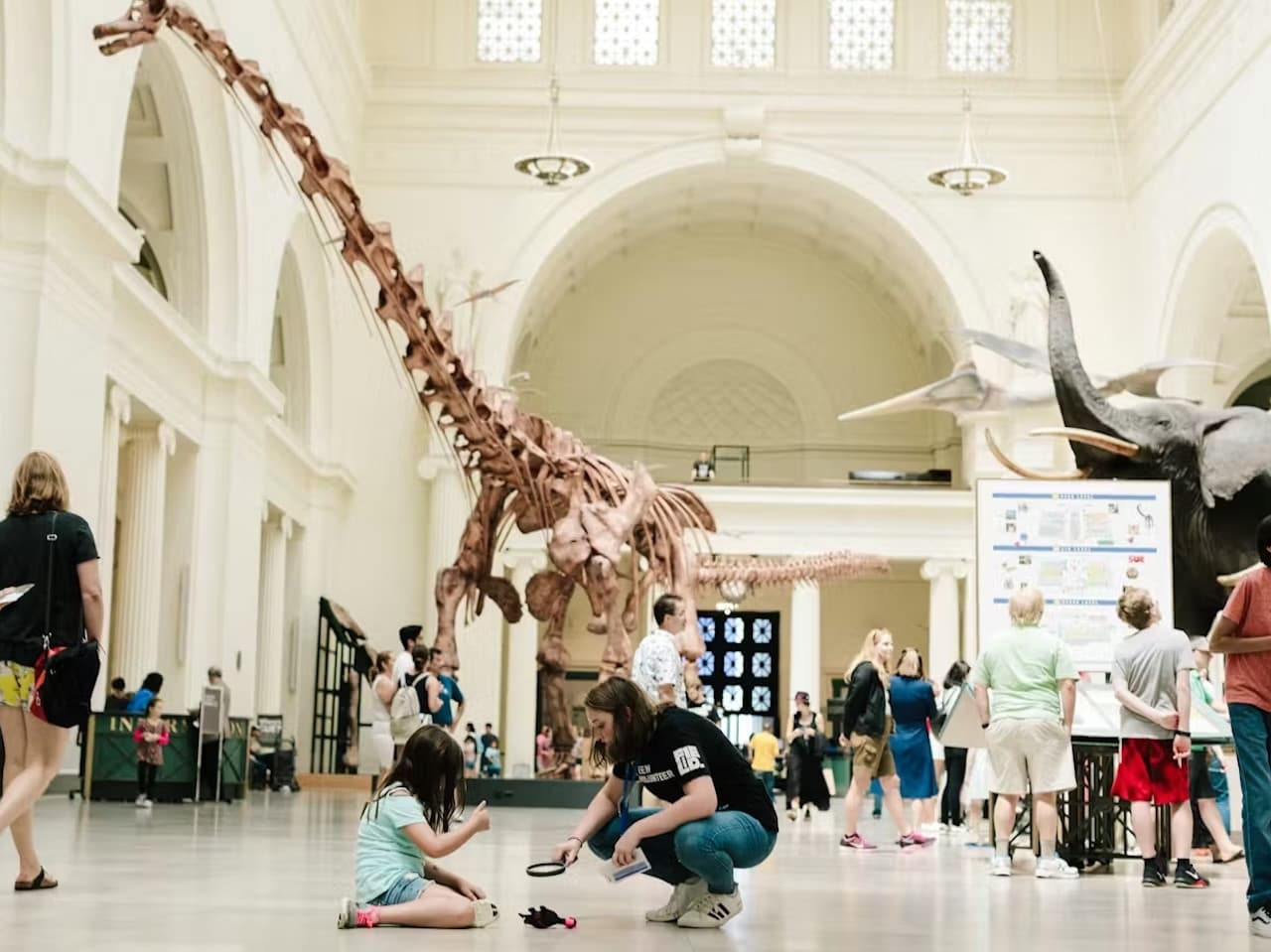 The Field Museum of Natural History Ticket - تصویر 10