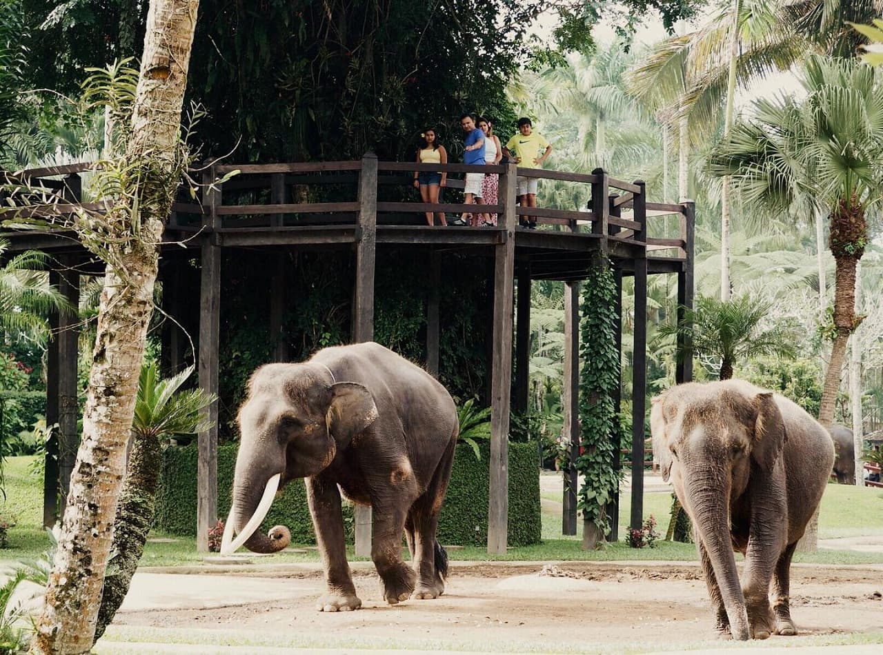 Mason Elephant Park Bali by Mason Adventures (Formerly known as Elephant Safari Park) - تصویر 8