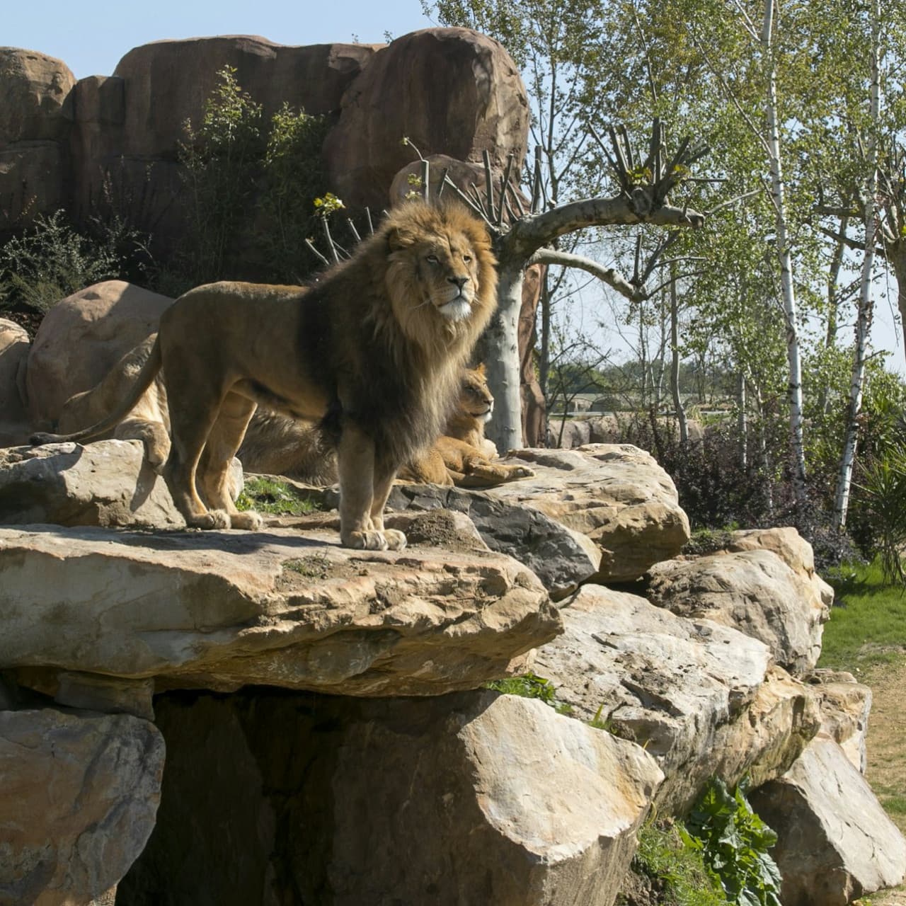ZooParc de Beauval Ticket - تصویر 12