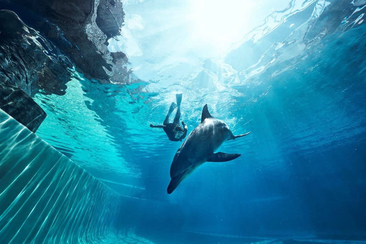 Singapore Oceanarium Ticket - تصویر 13