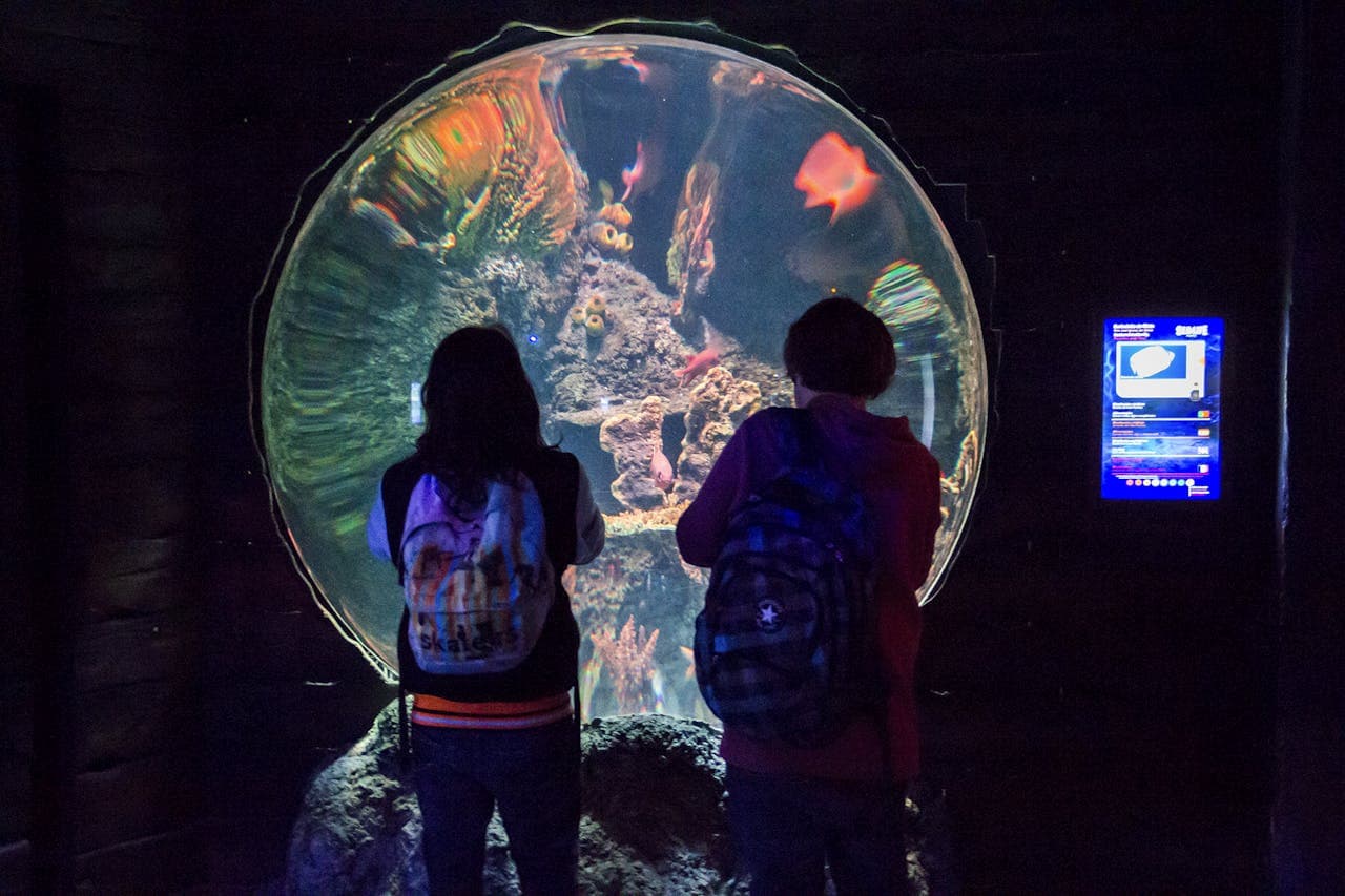 SEA LIFE Porto Ticket - تصویر 7