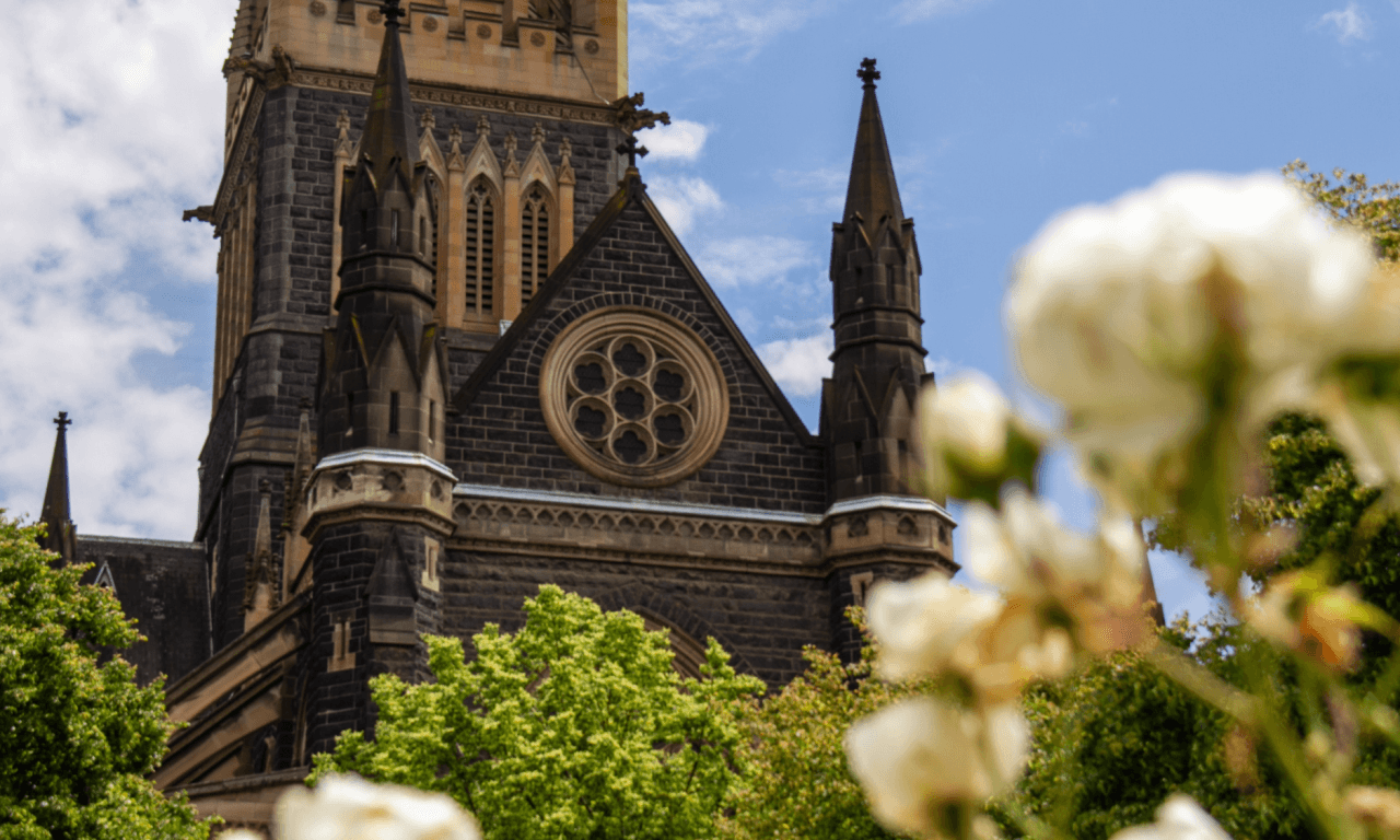 Melbourne City Discovery Tour with Penguin Parade - تصویر 6