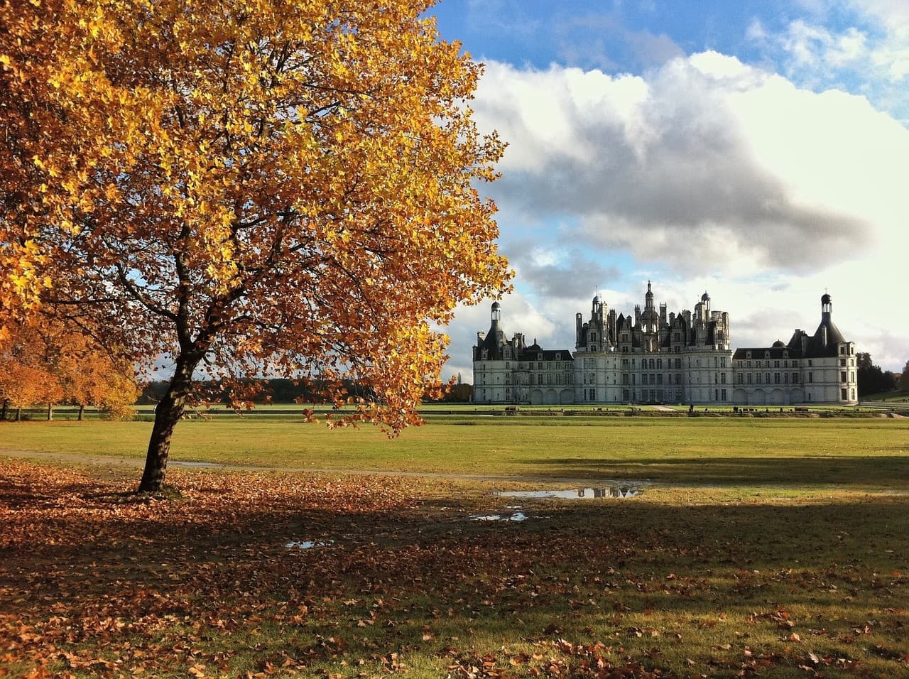 Loire Valley Tour from Paris: Chambord, Chenonceau, and Cheverny Castles - تصویر 4