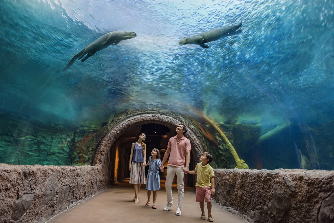 COMBO: Singapore Zoo + River Wonders Ticket - تصویر 12