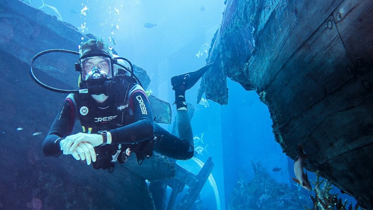 Ultimate Marine Life Experience at Adventure Cove Waterpark - تصویر 7