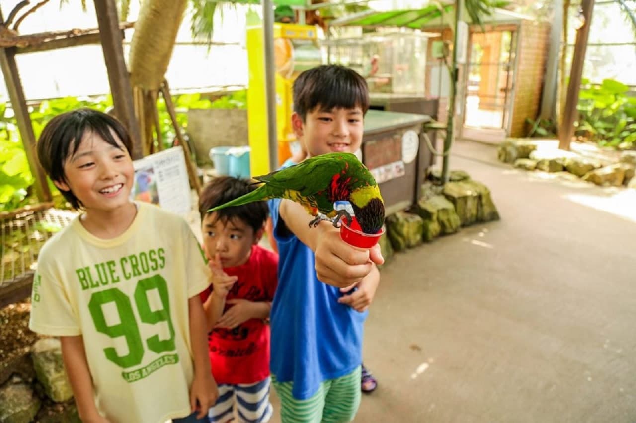 Okinawa Tropical Fruits Land - تصویر 6