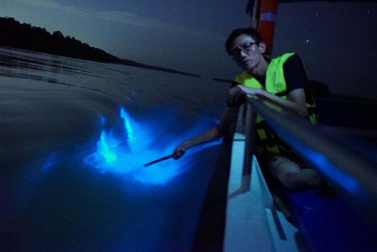 Blue Tears Boat Cruise in Kuala Selangor - تصویر 3