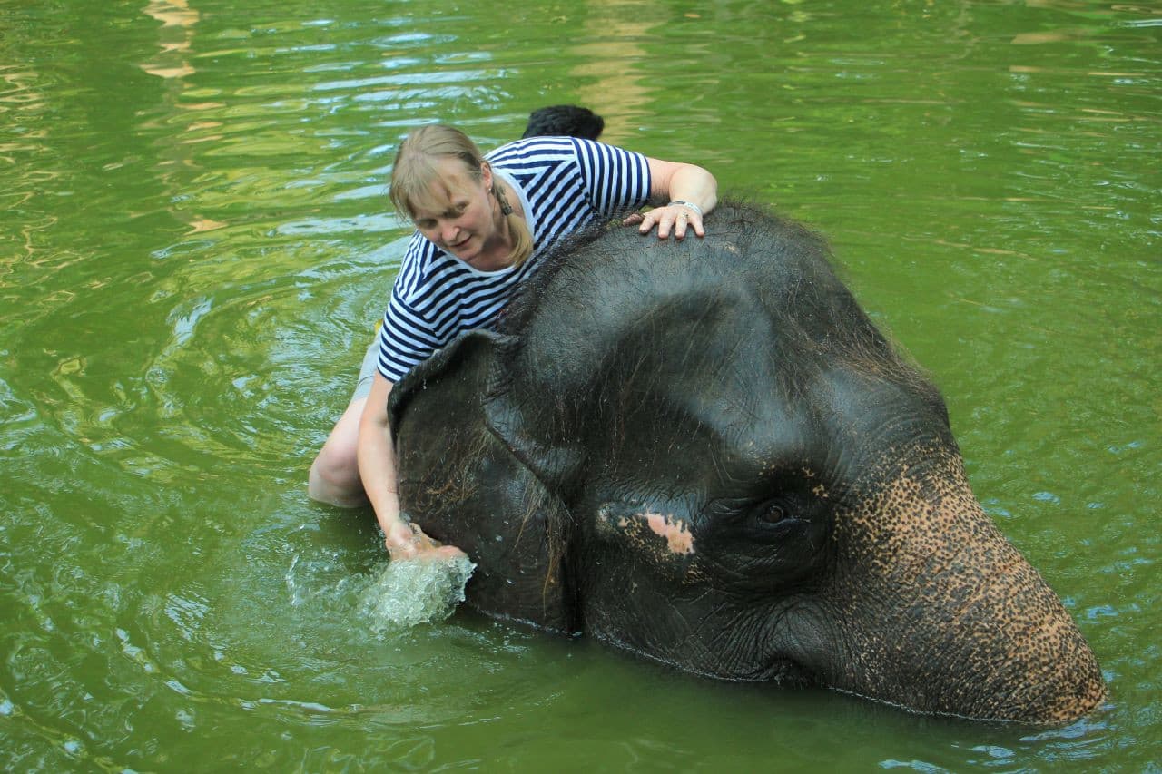 Lombok Wildlife Park Elephant Bath Experience - تصویر اصلی