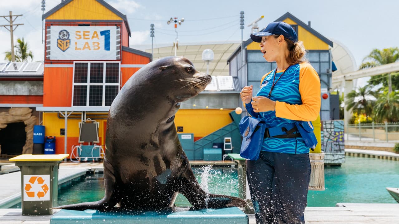 Sea World Gold Coast Ticket - تصویر 7