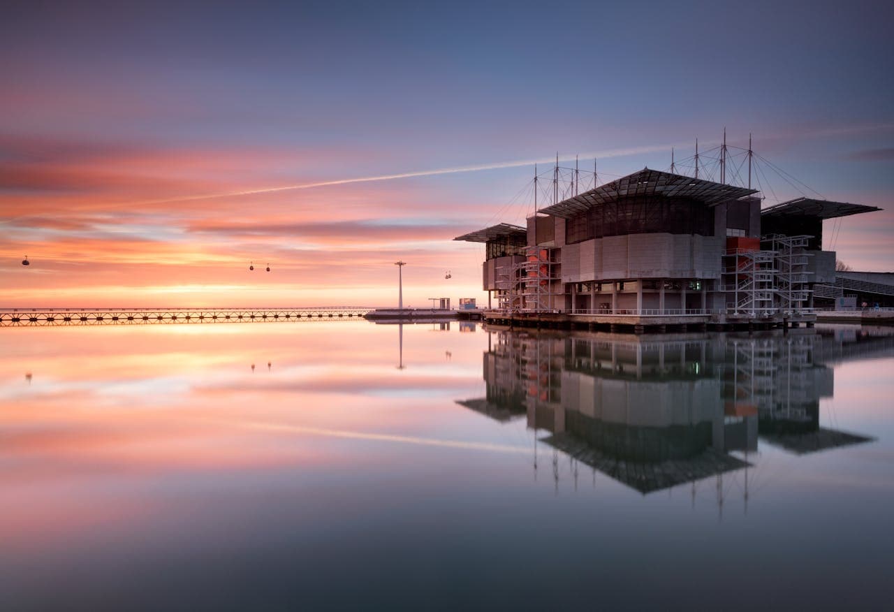 Oceanário de Lisboa Ticket - تصویر 8