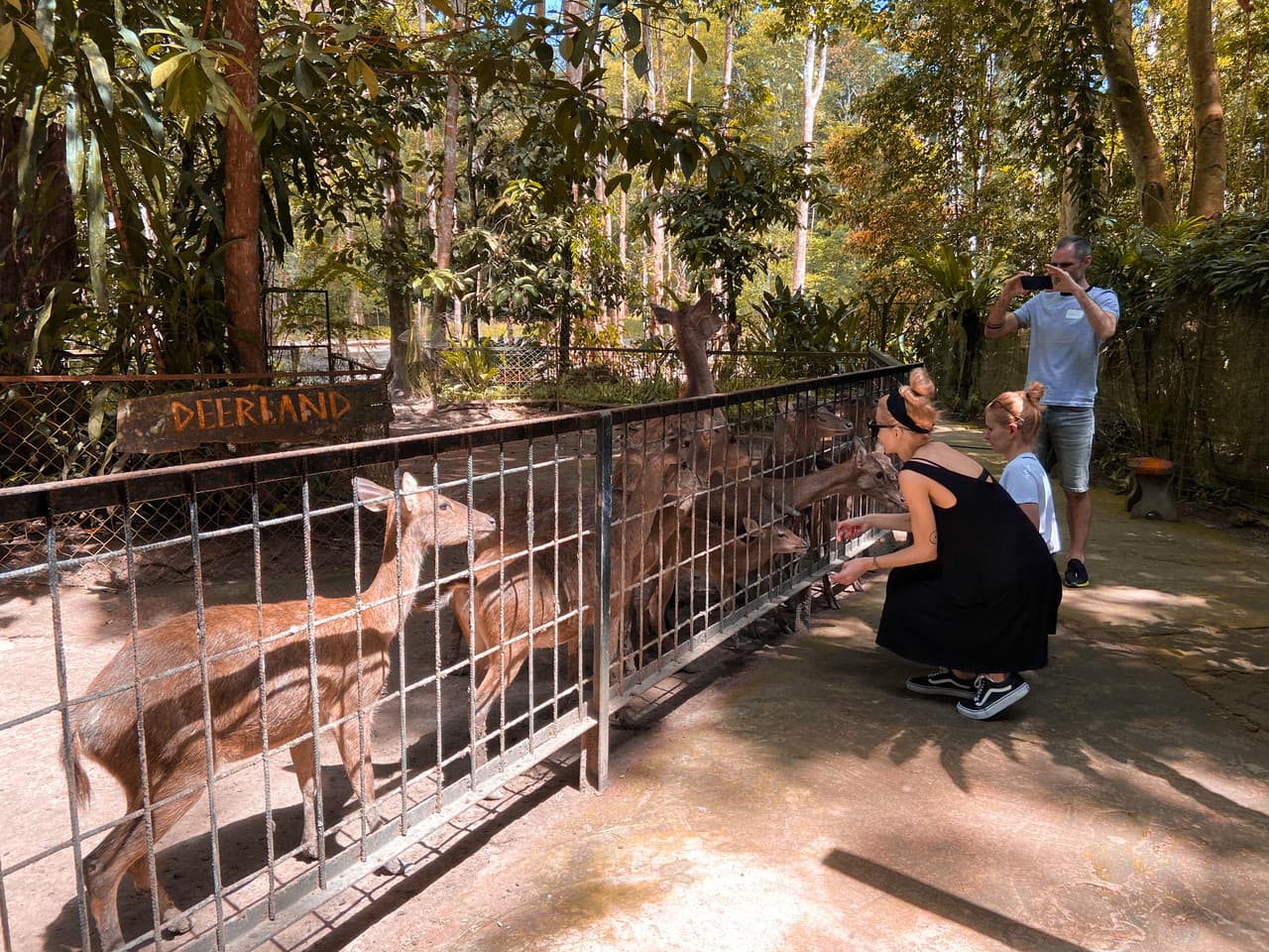 Batu Caves and Kuala Gandah Elephant Sanctuary Full-Day Tour from Kuala Lumpur - تصویر 11