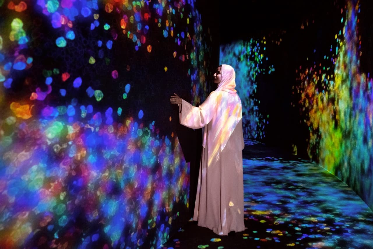 COMBO: teamLab Phenomena Ticket + Big Bus Abu Dhabi Hop-on Hop-off Bus Tour - تصویر اصلی