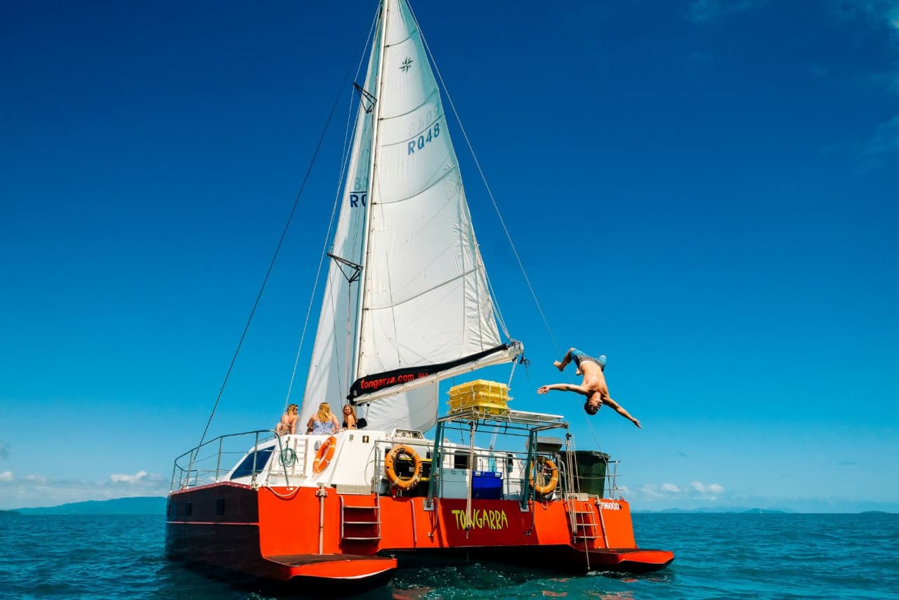 Tongarra Day Sailing Tour - تصویر 13