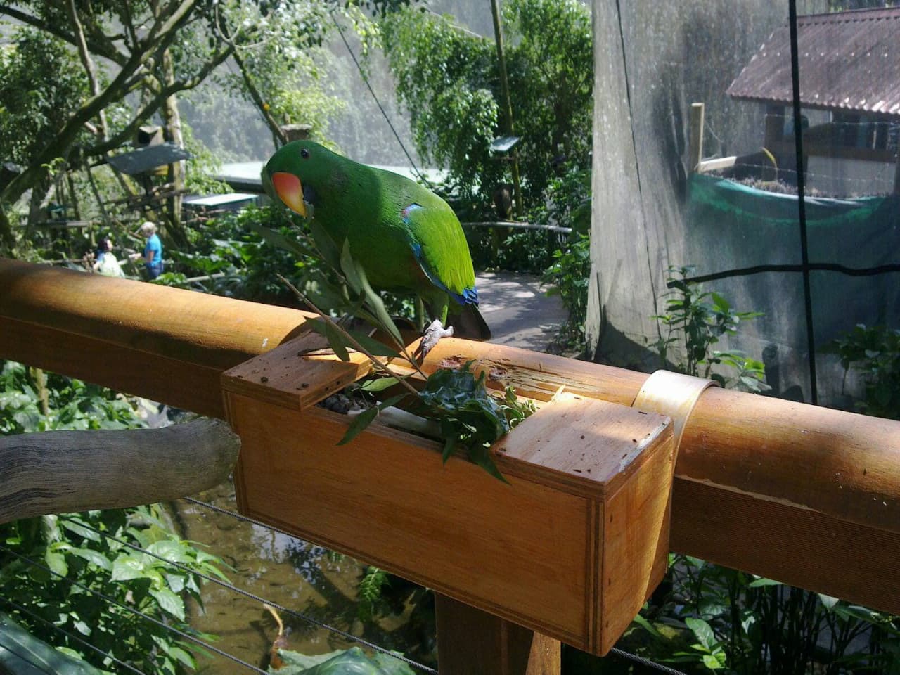 Birdworld Kuranda - تصویر 5
