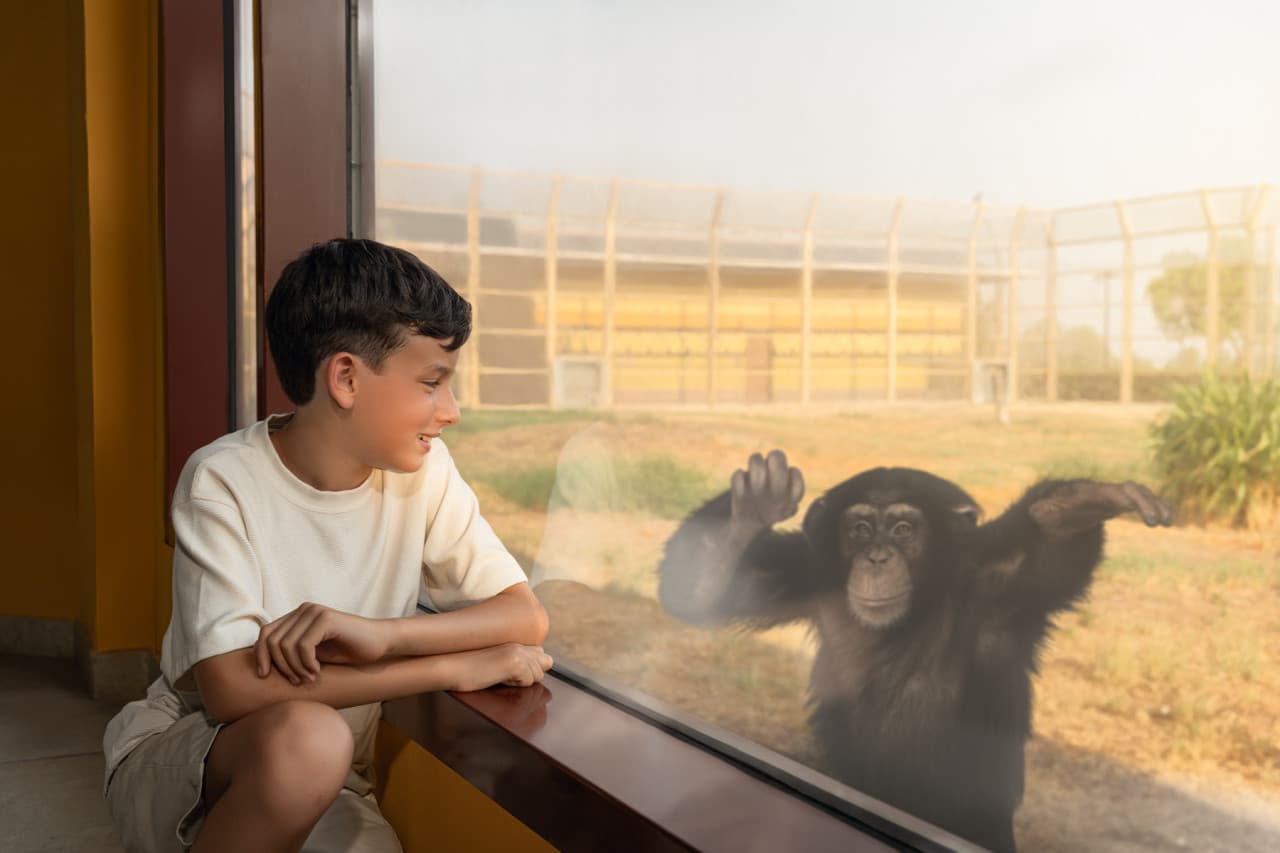 Dubai Safari Park Ticket - تصویر 16