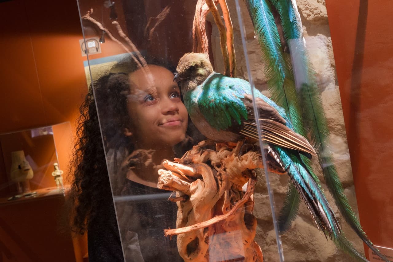 Chocolate Museum – Choco-Story Paris - تصویر 6