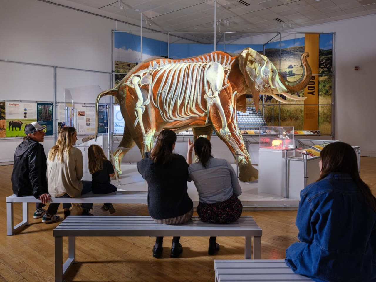 American Museum of Natural History Ticket - تصویر 3