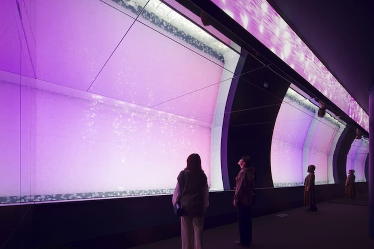 Aqua World Ibaraki Prefectural Oarai Aquarium Ticket - تصویر 5