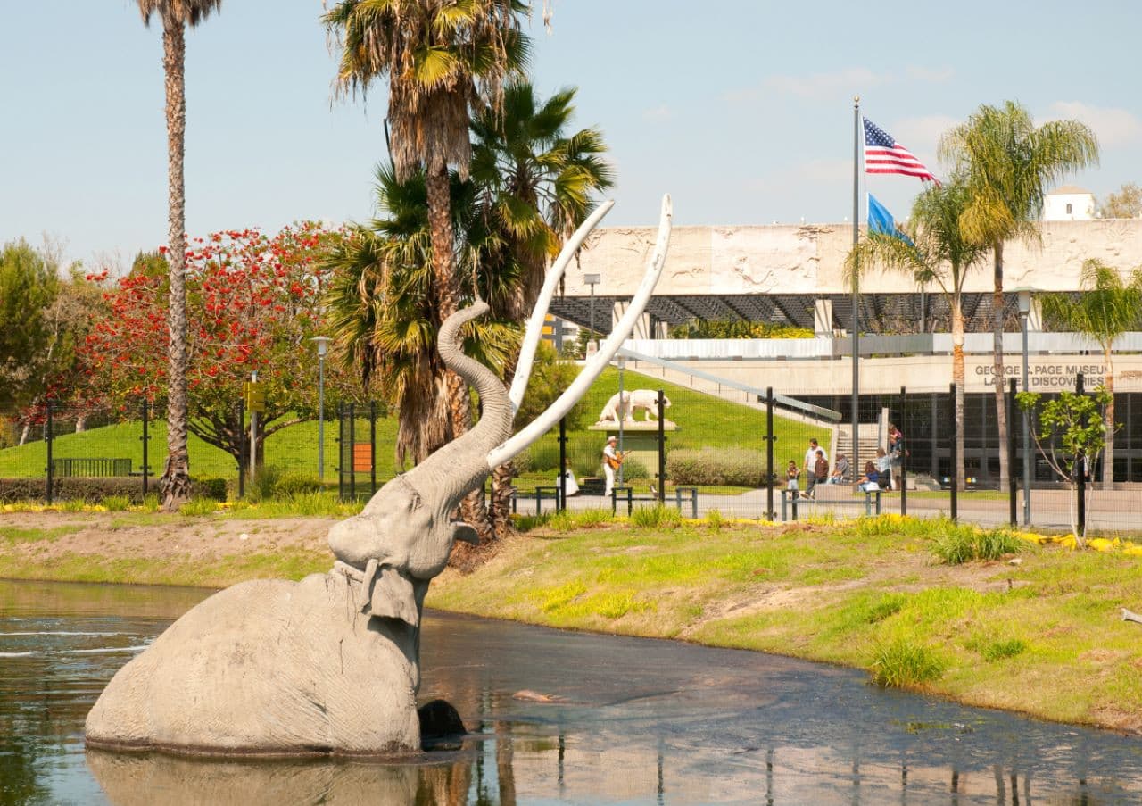 Go City Los Angeles All-Inclusive Pass: Save up to 50% on Attractions - تصویر 13