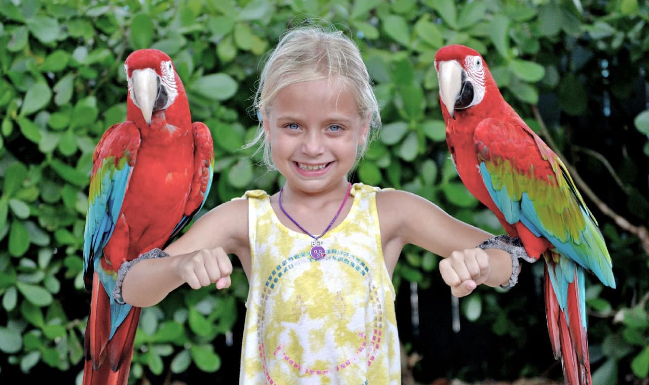 Go City Miami Explorer Pass: Save up to 50% on Attractions - تصویر 26