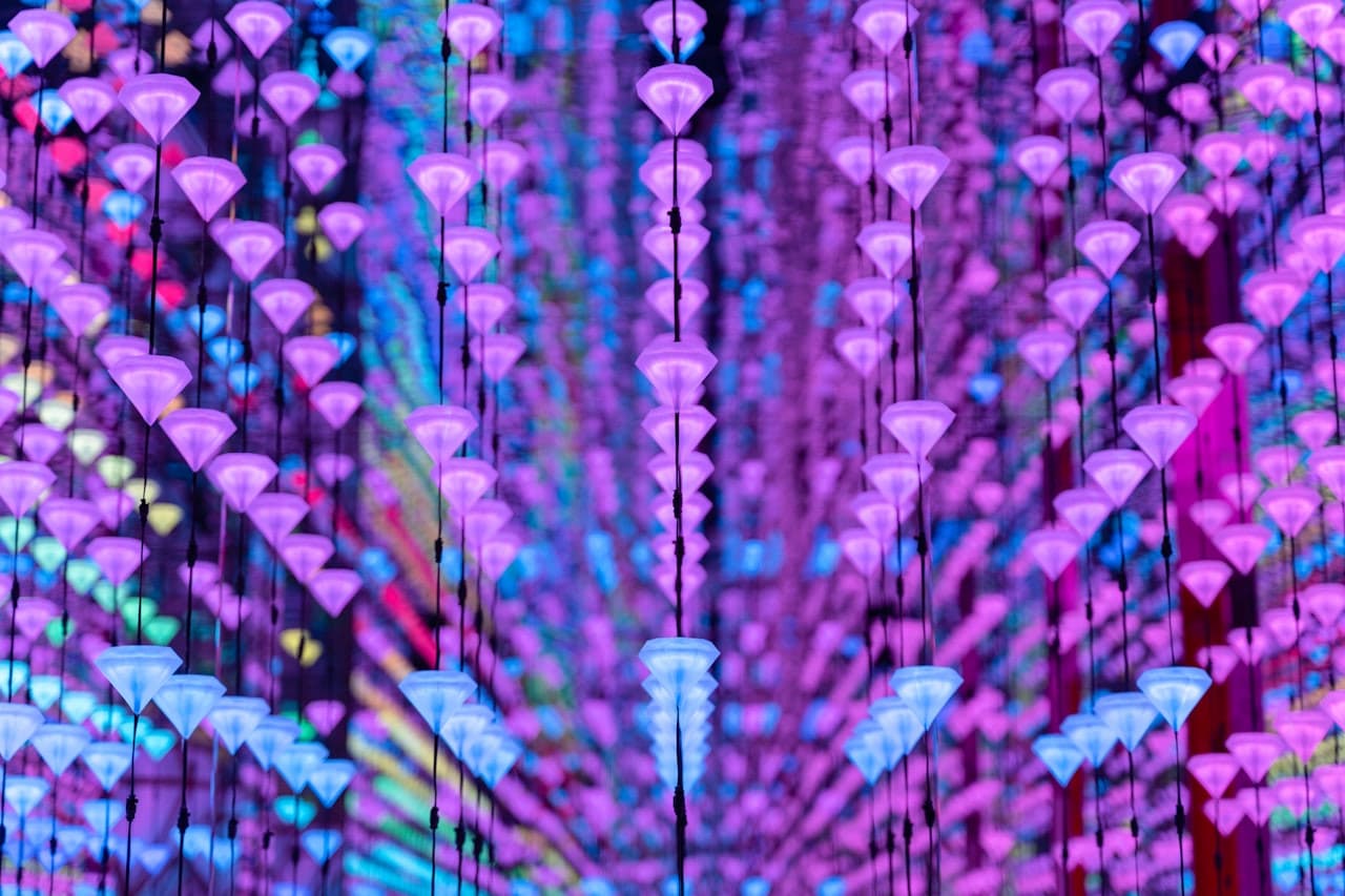 Moco Museum Amsterdam Ticket - تصویر 3