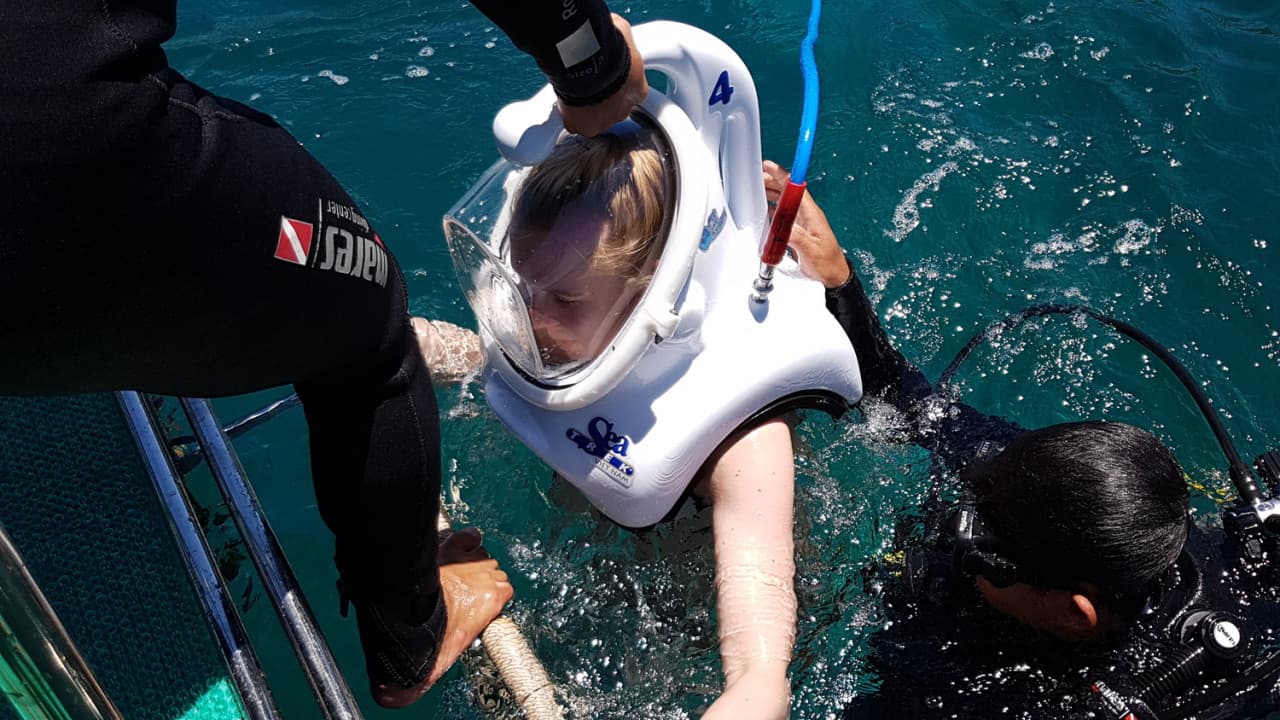 Cham Islands Underwater Walking and Snorkelling Half-Day Tour from Da Nang - تصویر 7