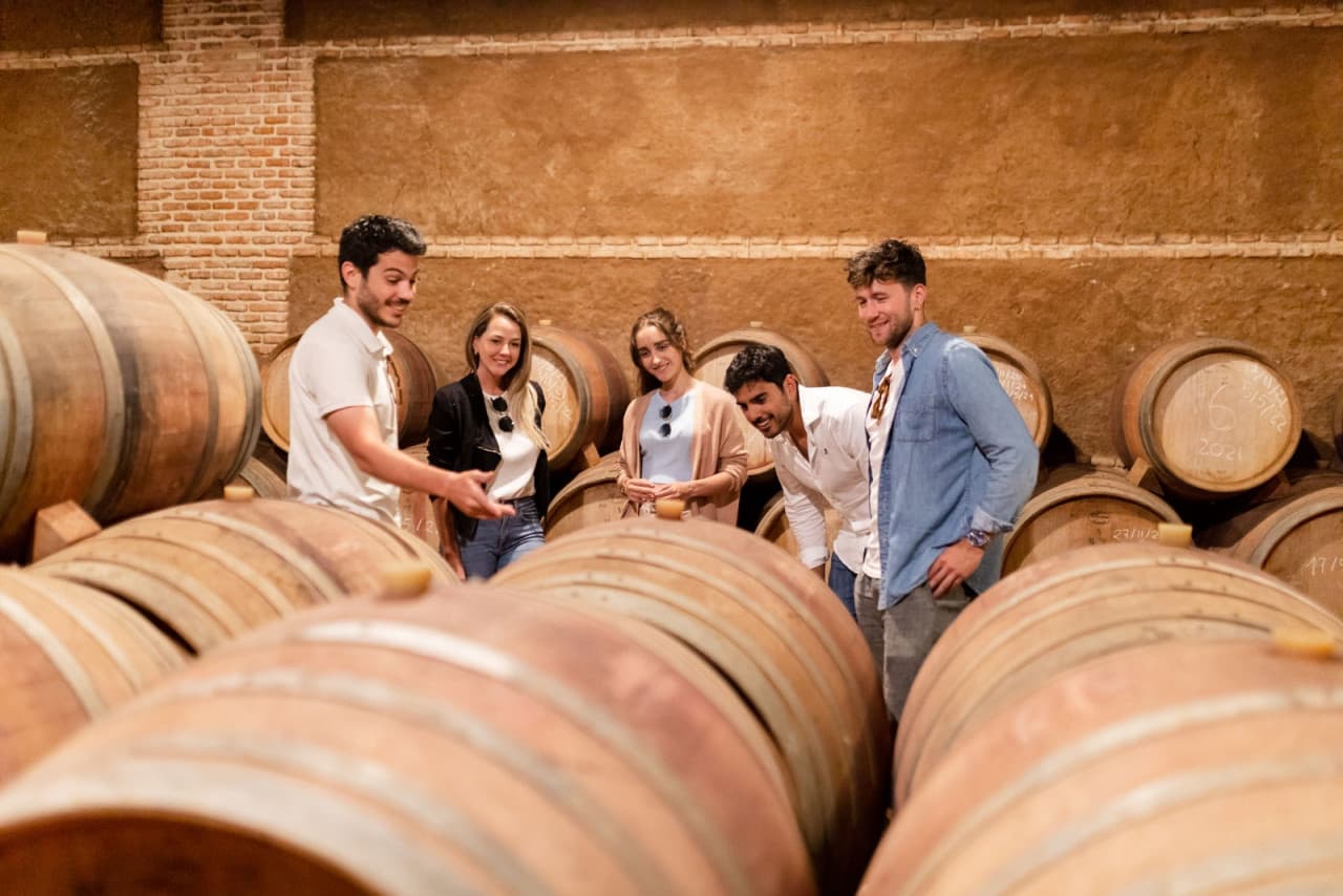 Toledo City Tour from Madrid with Wine Tasting Experience - تصویر 7