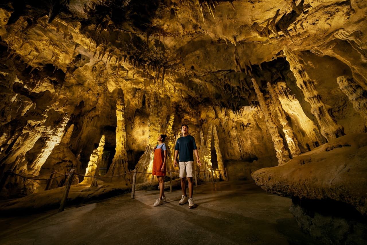 Mandai Destination Pass: Visit Up to 6 Attractions in 1 or 5 Days - تصویر 25