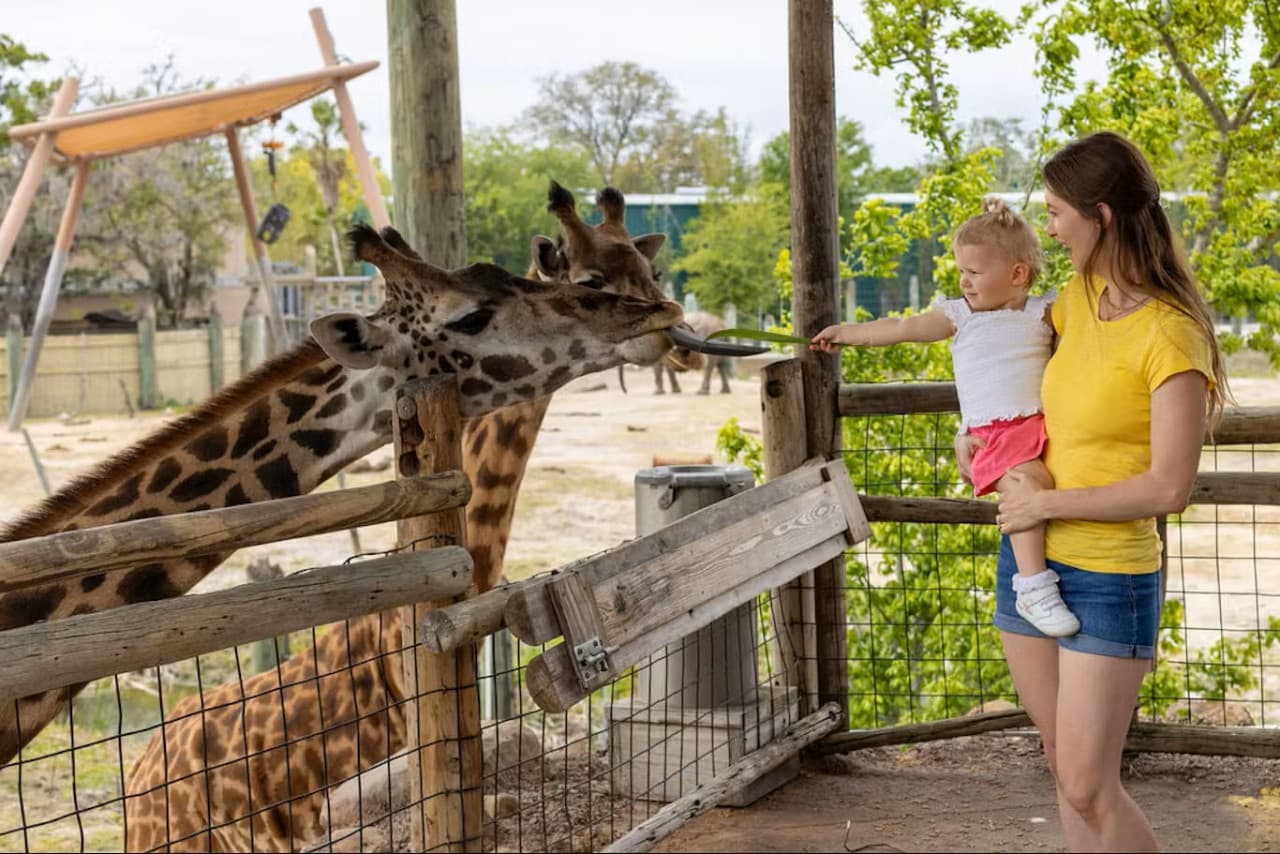 ZooTampa at Lowry Park Ticket - تصویر 2