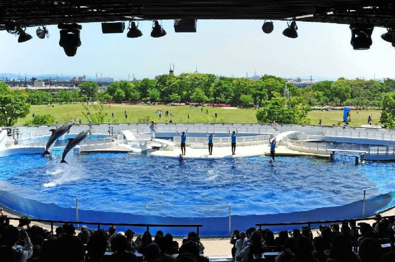 Kyoto Aquarium Ticket - تصویر 11