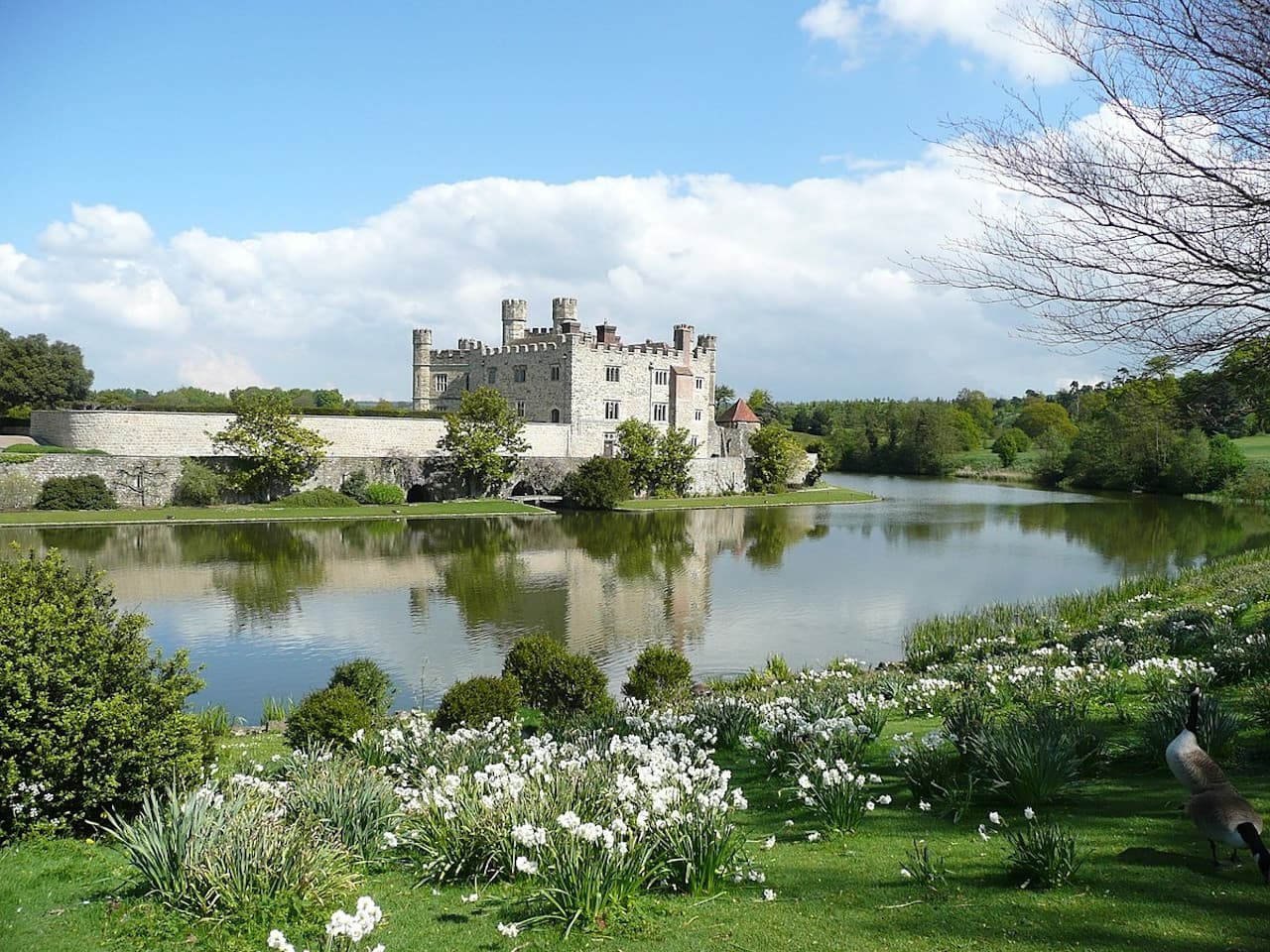 Leeds Castle, Canterbury, Dover, and Greenwich Tour from London - تصویر 2