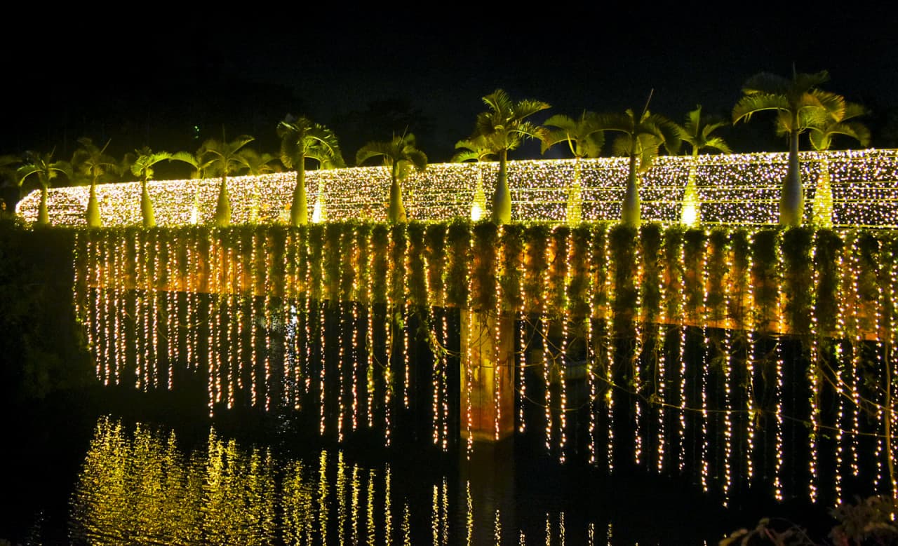 Okinawa Southeast Botanical Gardens - تصویر 21