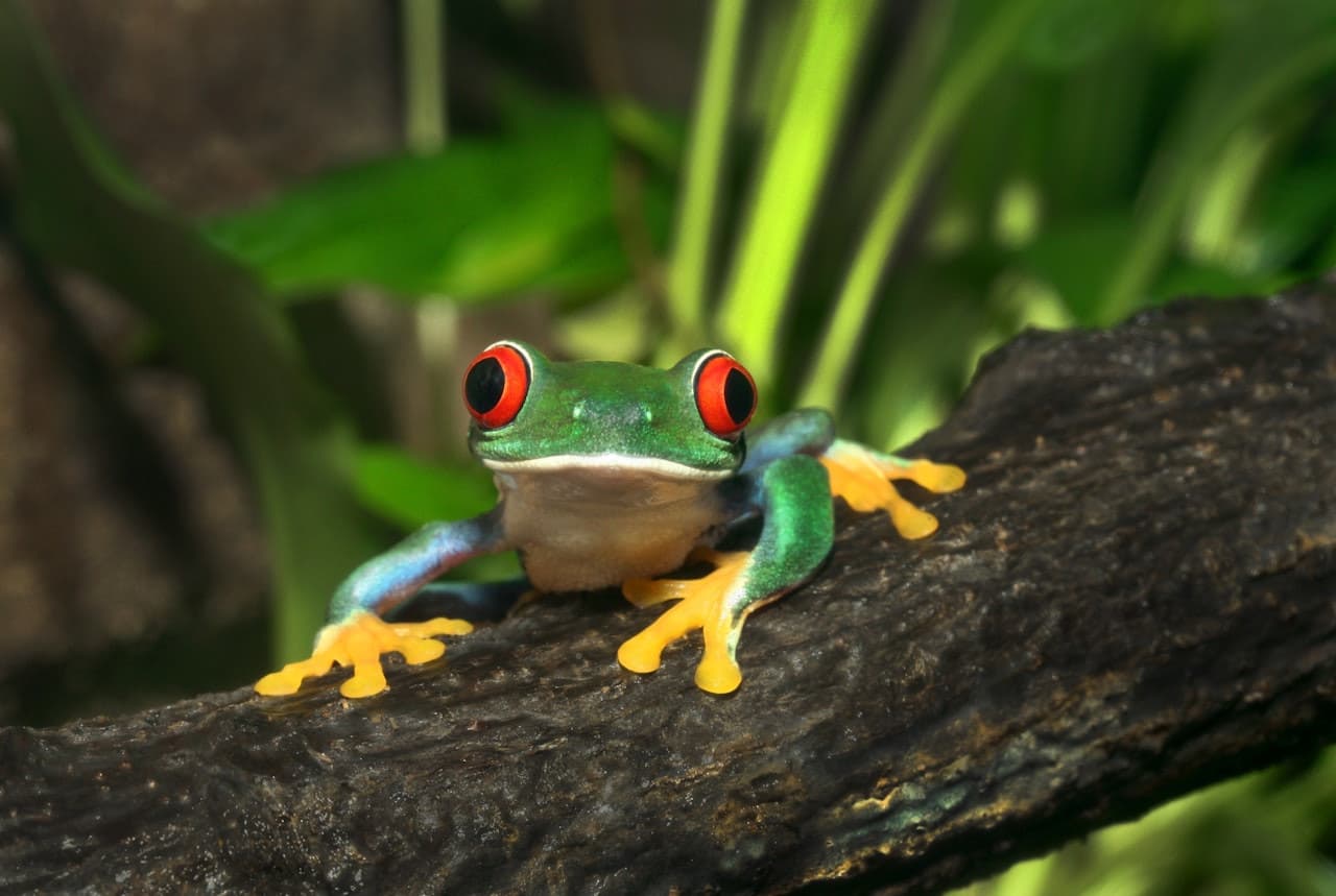ARTIS Royal Zoo - تصویر 10