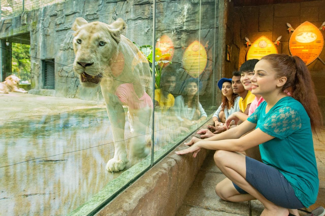 COMBO: Sunway Lagoon Theme Park Ticket + Quack Xpress Pass - تصویر 12