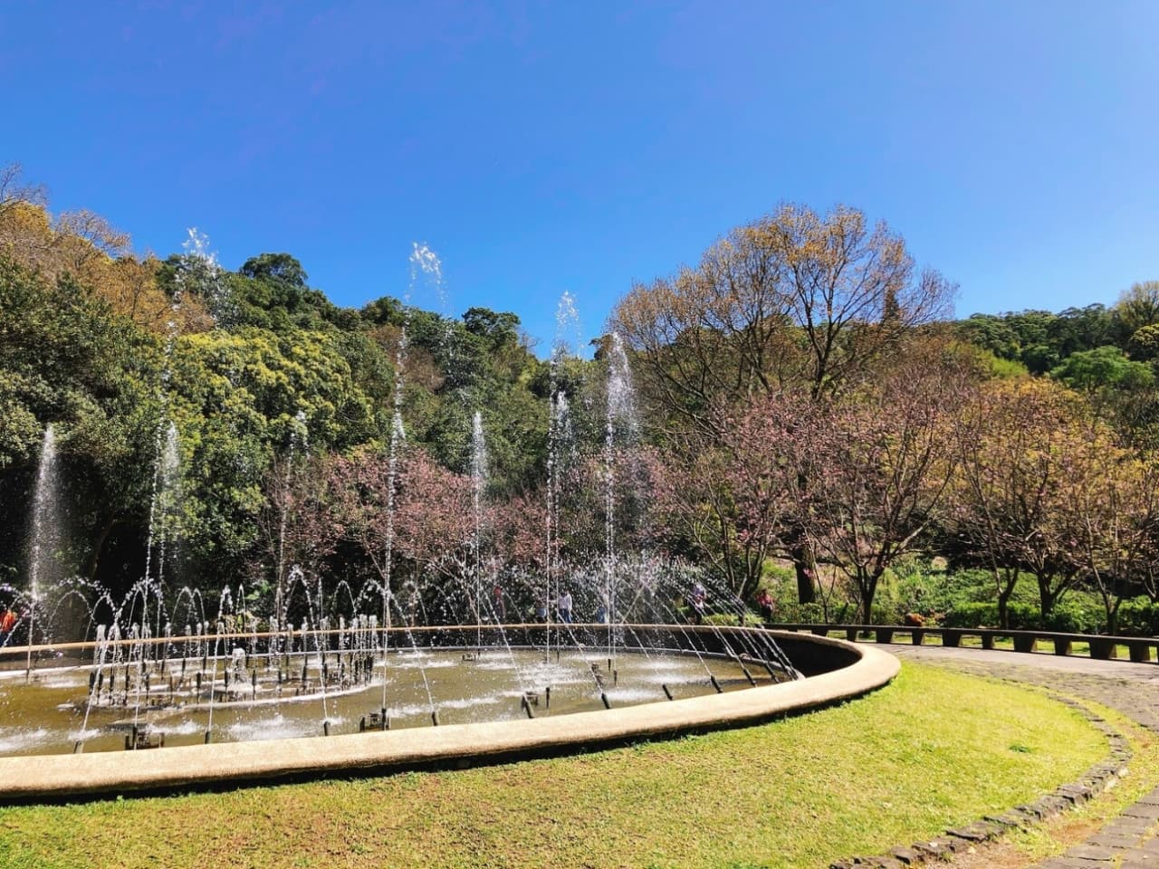 Yangmingshan National Park and Beitou Hot Spring Full-Day Tour from Taipei - تصویر 11