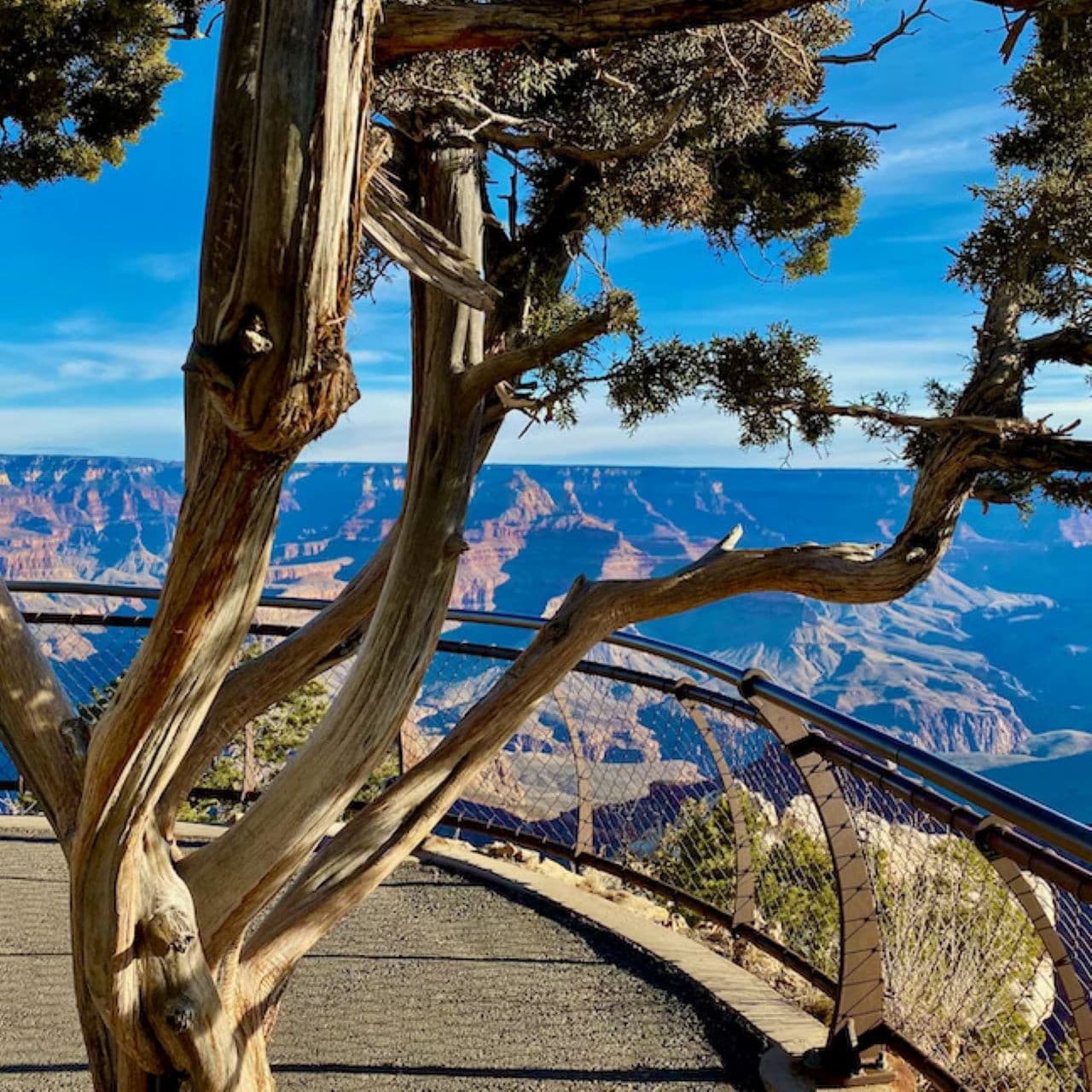 Grand Canyon National Park Tour from Las Vegas - تصویر 3